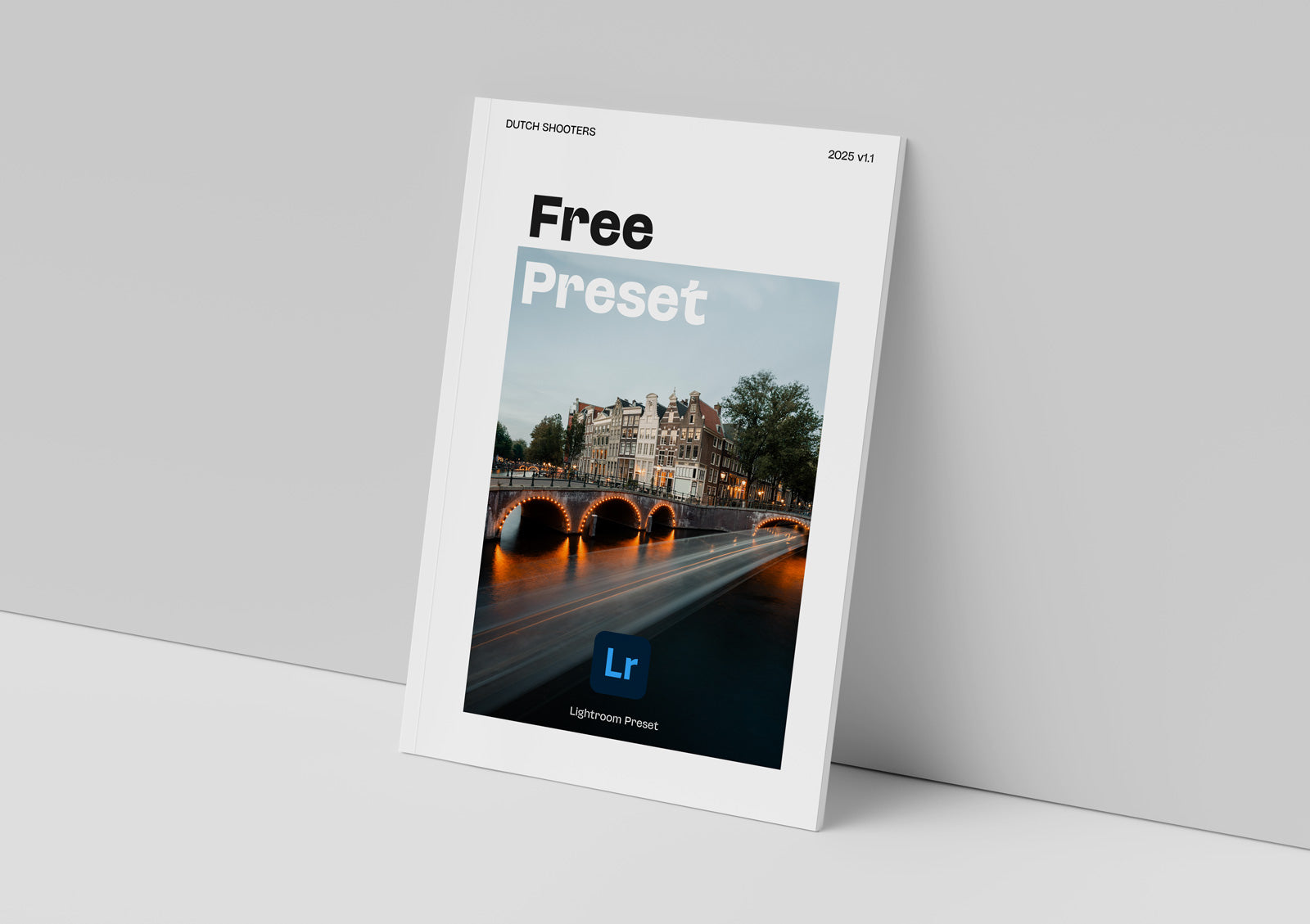 DS Presets (LR/PS)